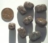 8 12x16mm Snowflake Obsidian